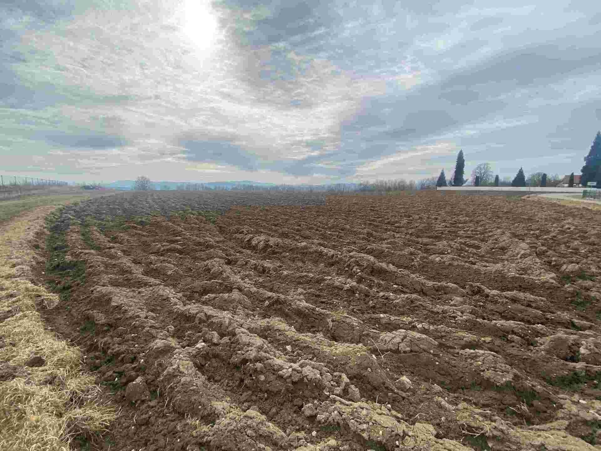 Prodej pozemek - Střížov, 2 m²