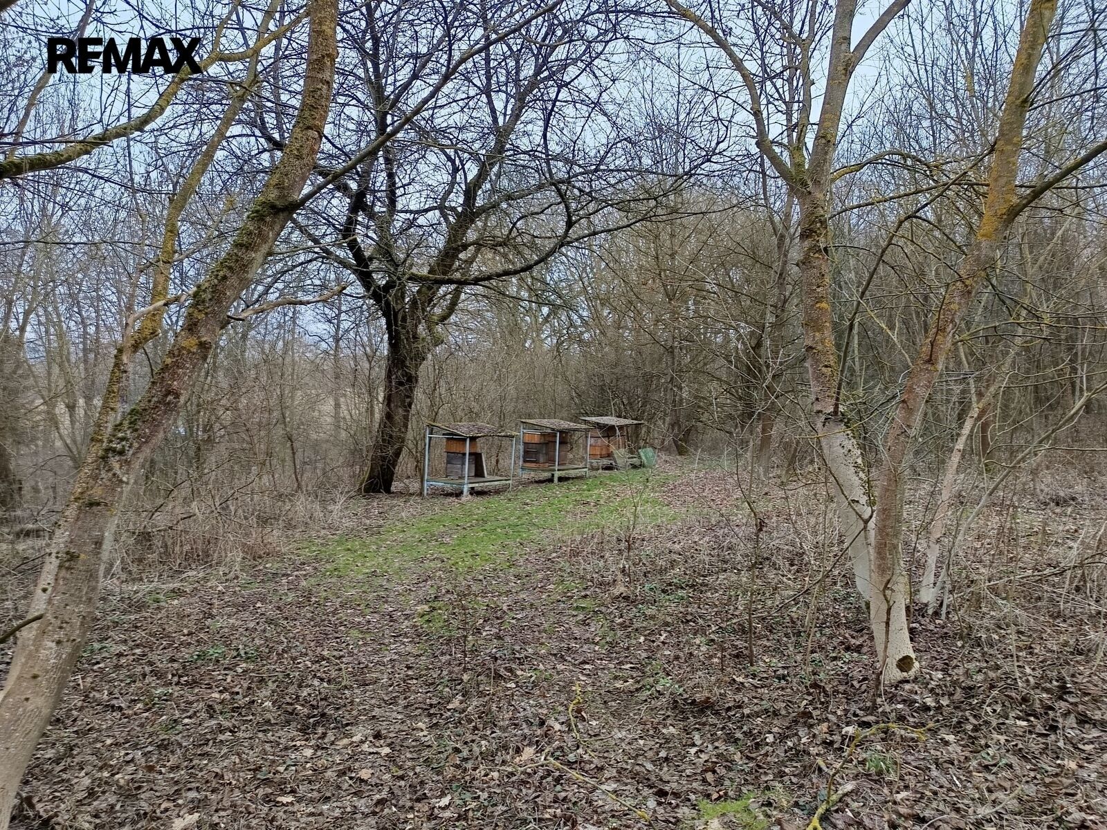 Prodej pozemek - Zábřeh, 3 482 m² - 5