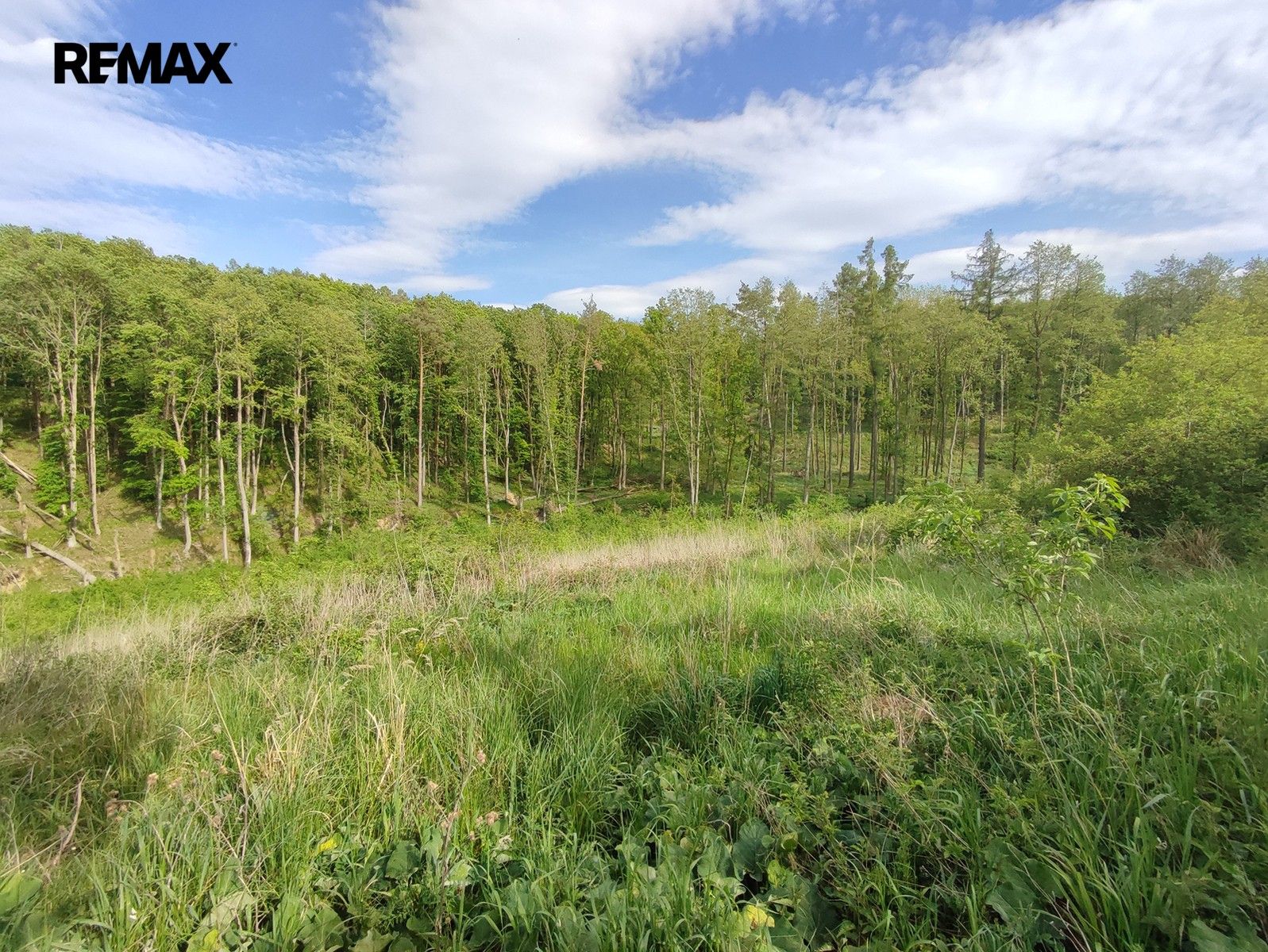 Les, 17 681 m²