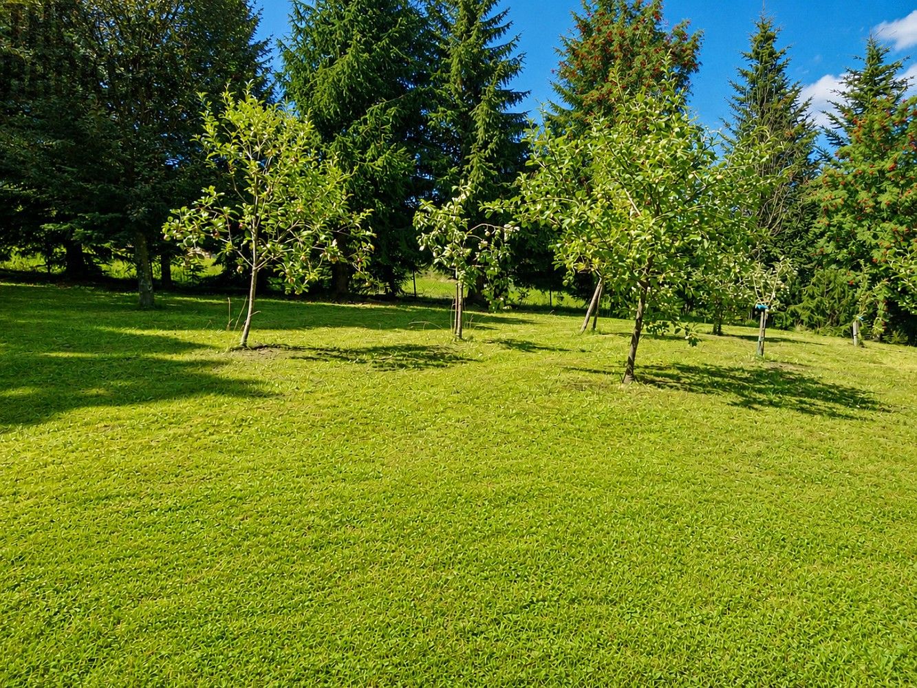 Rodinný dům · 125 m² · Vrchlabí - Hořejší Vrchlabí, okres Trutnov, Královéhradecký kraj - 3