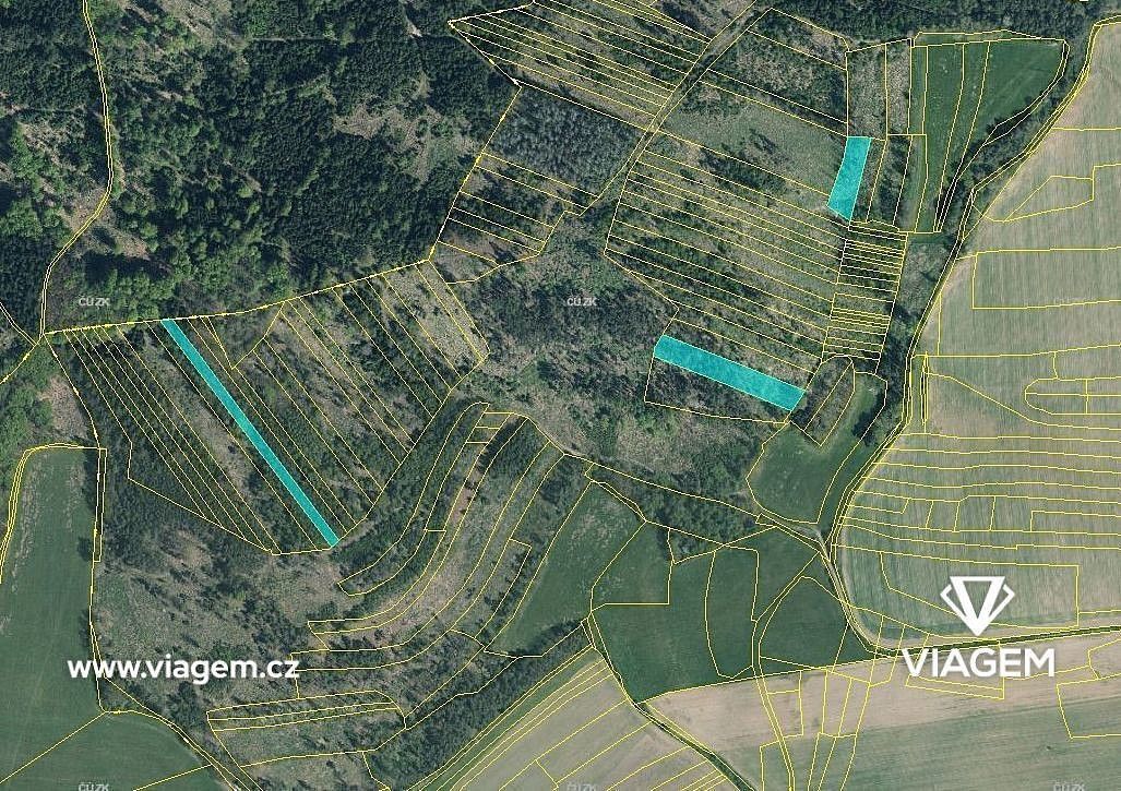 Les · Všepadly, okres Domažlice, Plzeňský kraj - 3