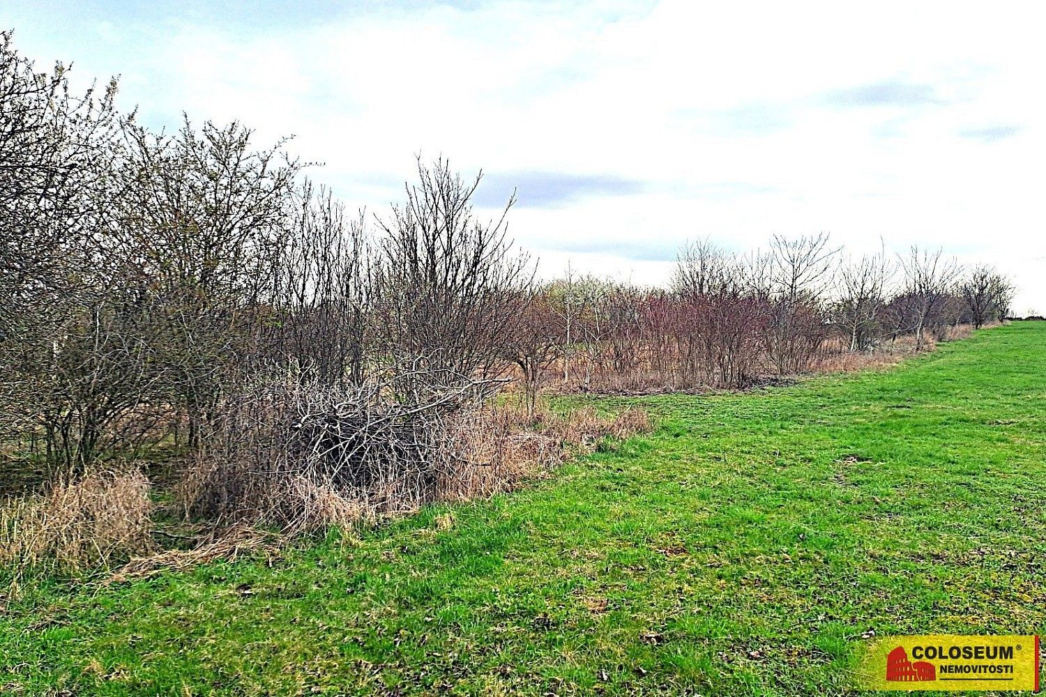 Zahrada, 863 m²