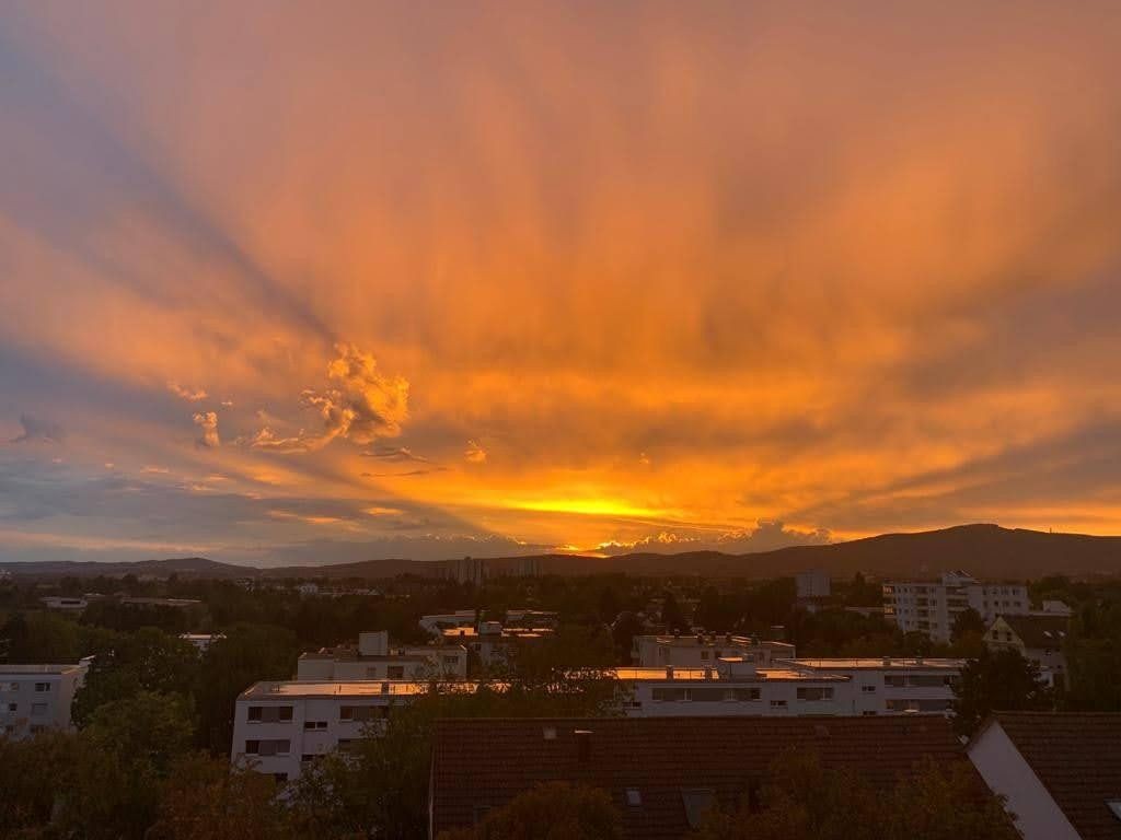 3+1, , Hessen, 64 m² - 1