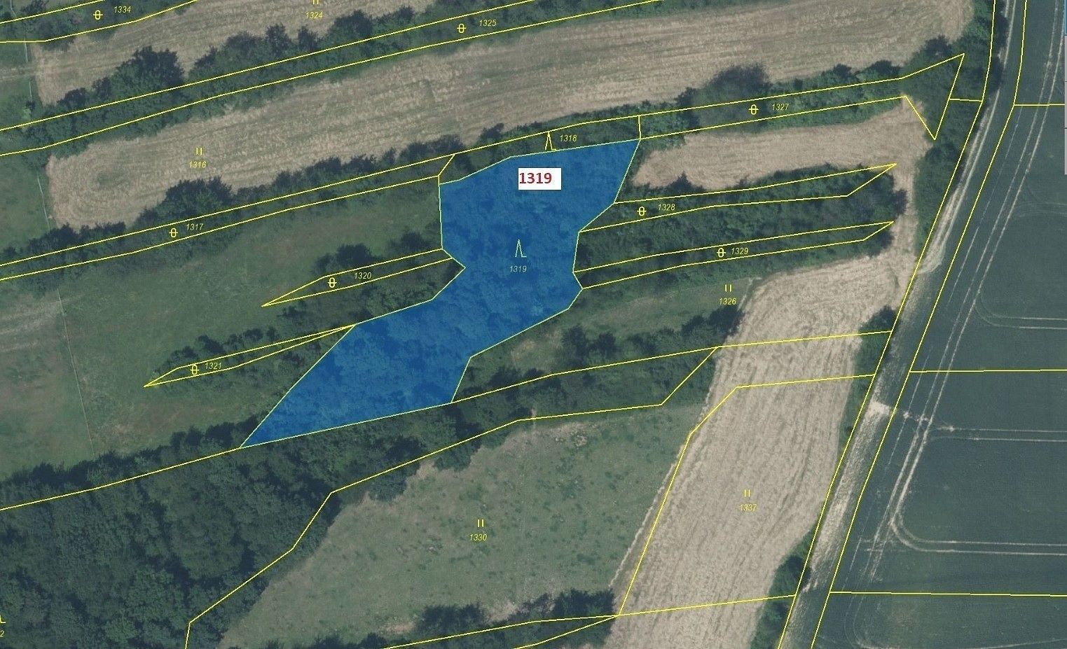 Les · Suchdol nad Odrou, okres Nový Jičín, Moravskoslezský kraj - 2