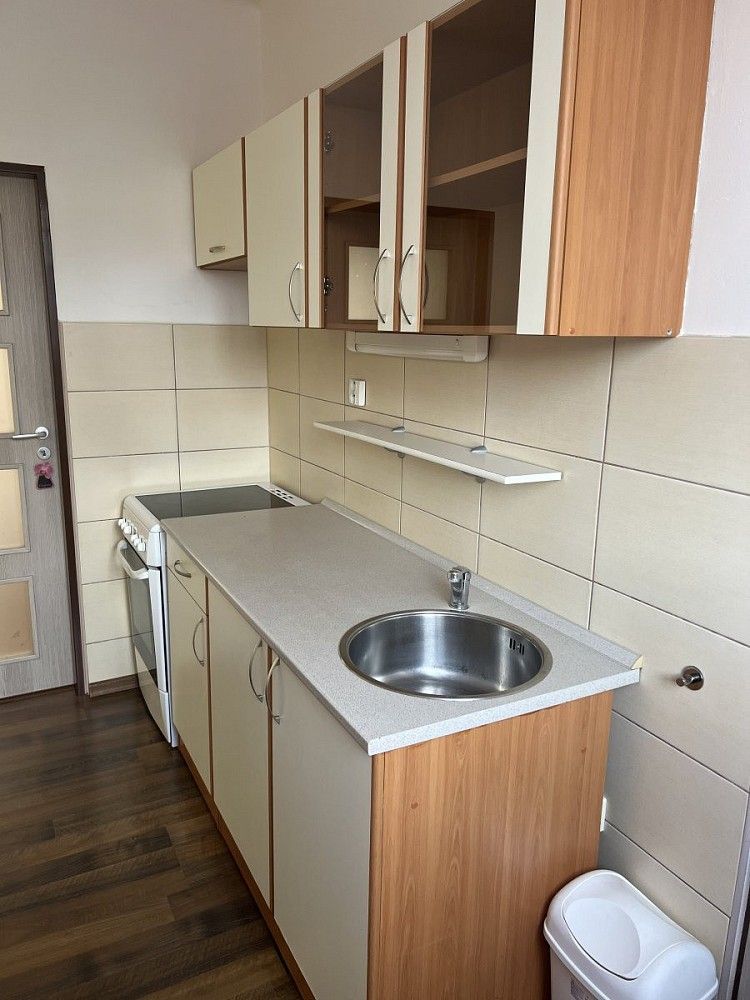 3+1, U Prazdroje, Plzeň - Východní Předměstí, 69 m² - 2