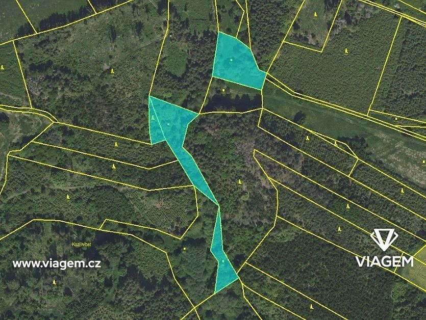 Lesy, Zbizuby, okres Kutná Hora, Středočeský kraj - 2