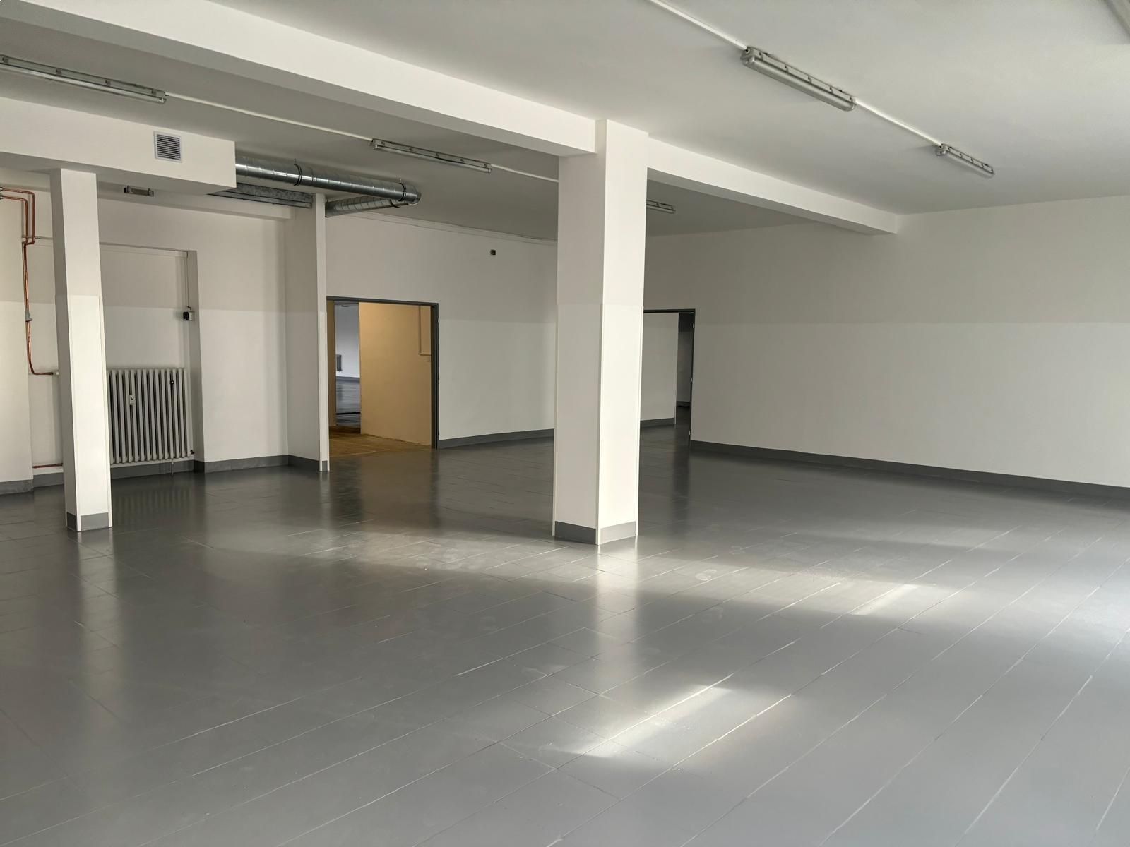 Výrobní prostory · 562 m² · Jiráskova, Sezemice - 4