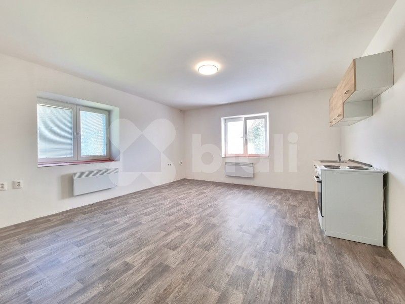 Pronájem byt 1+kk - U Nádraží, Prosenice, 30 m²