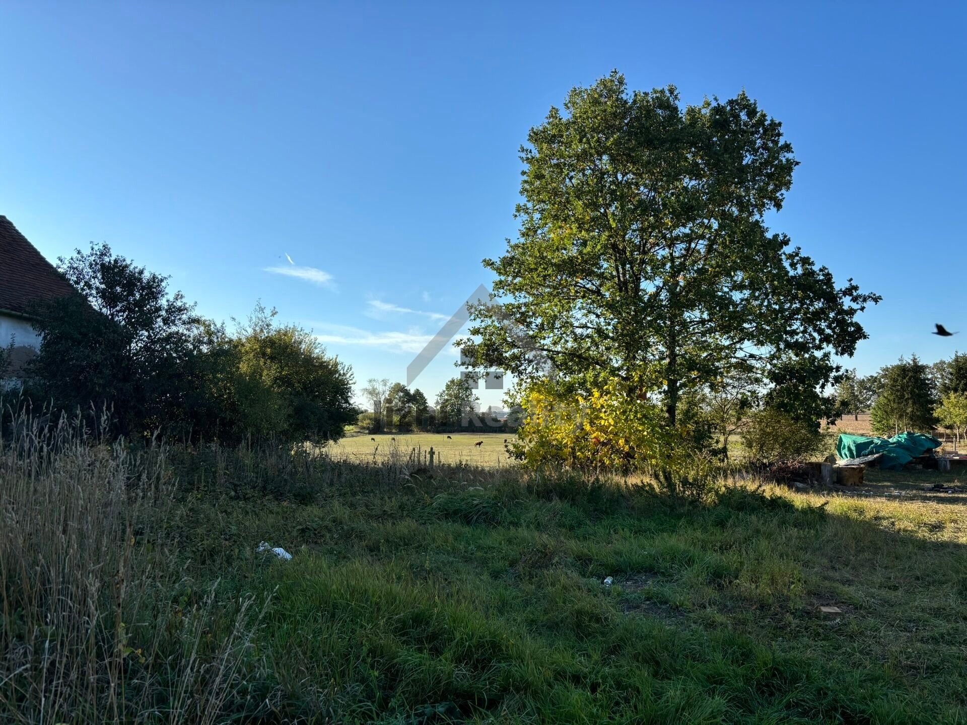 Prodej pozemek pro bydlení - Dubné Jaronice, 1 076 m² - 2