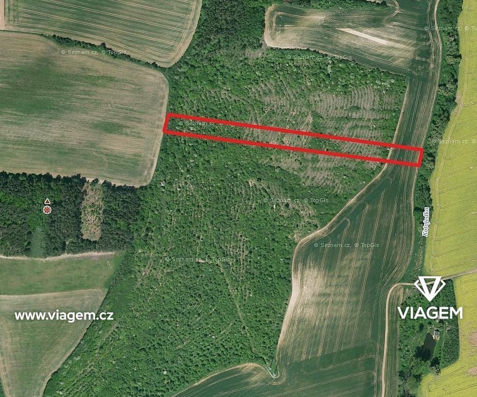Zemědělský pozemek · Cetechovice, okres Kroměříž, Zlínský kraj - 3