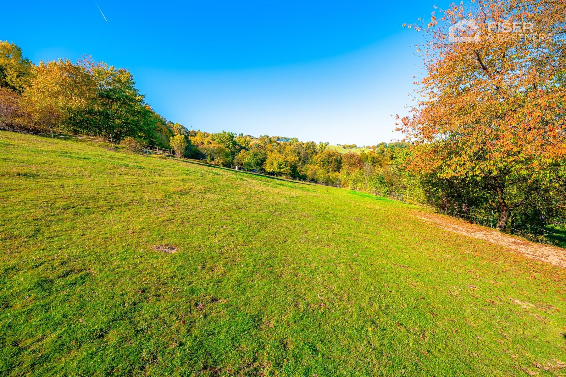 Prodej pozemek pro bydlení - Mikulůvka, 3 000 m² - 5