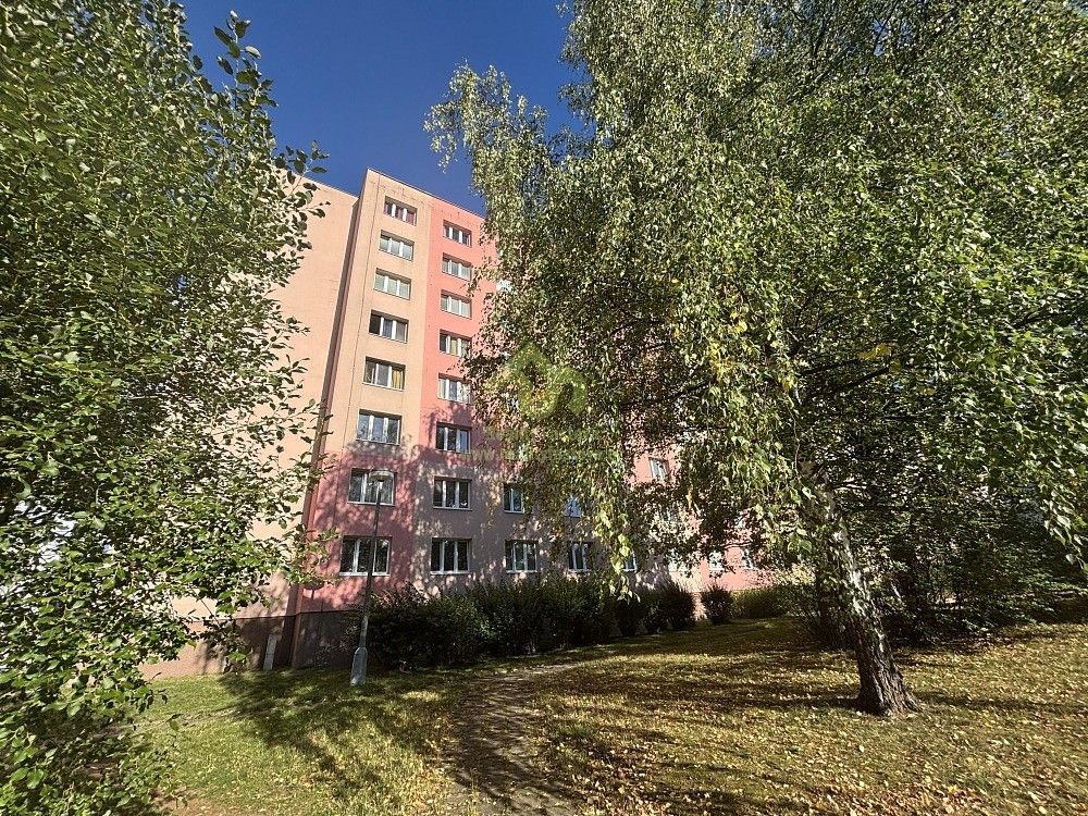 1+1, Plzeň, okres Plzeň-město, Plzeňský kraj, 37 m² - 1