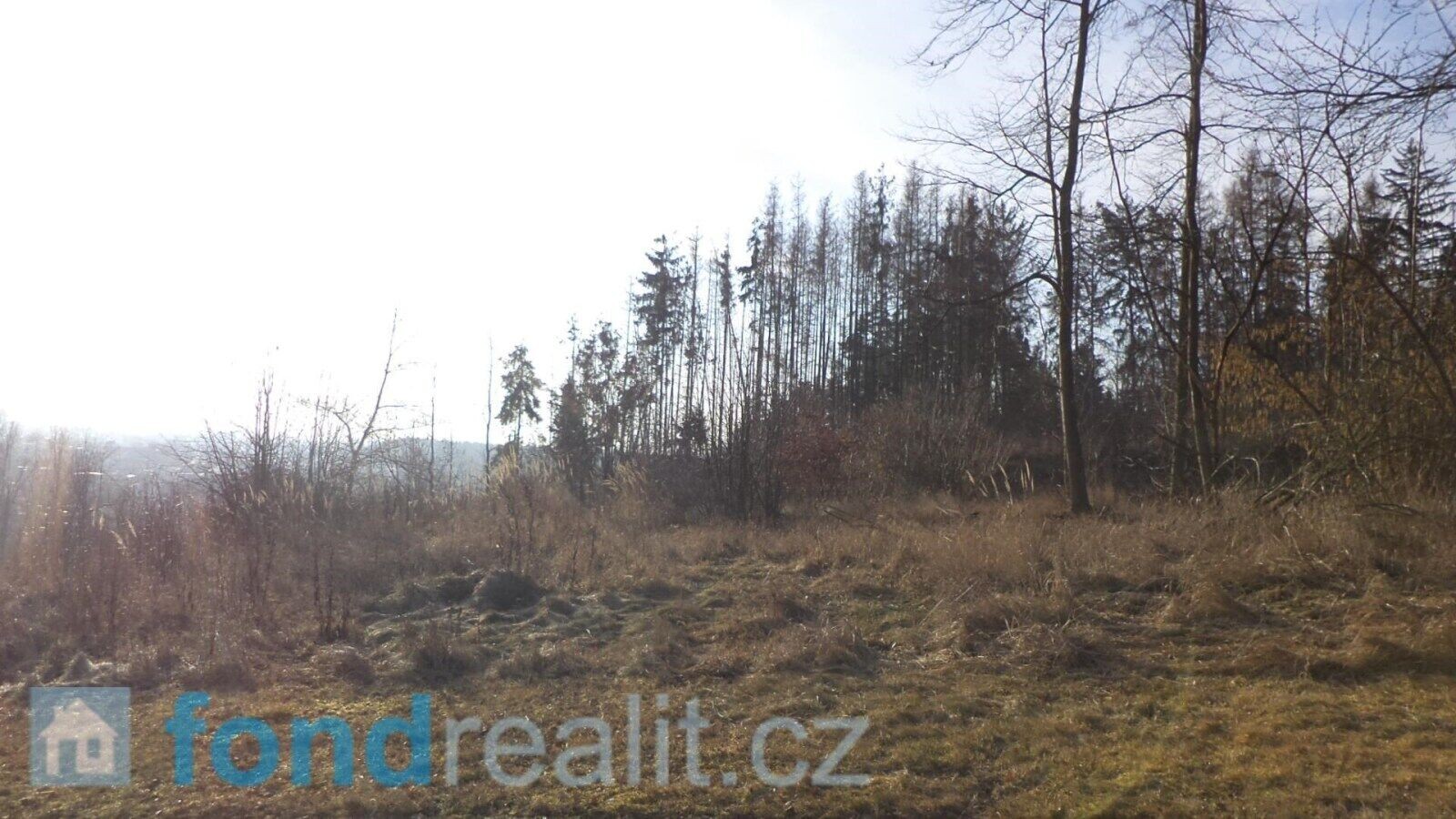 Louka · 1 595 m² · Tábor Čelkovice - 4
