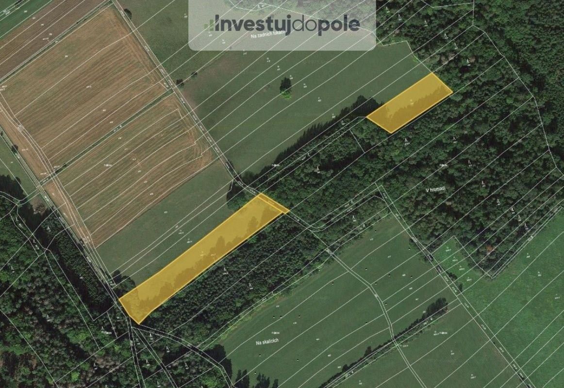 Prodej louka - Švihov, 340 12, 9 917 m²