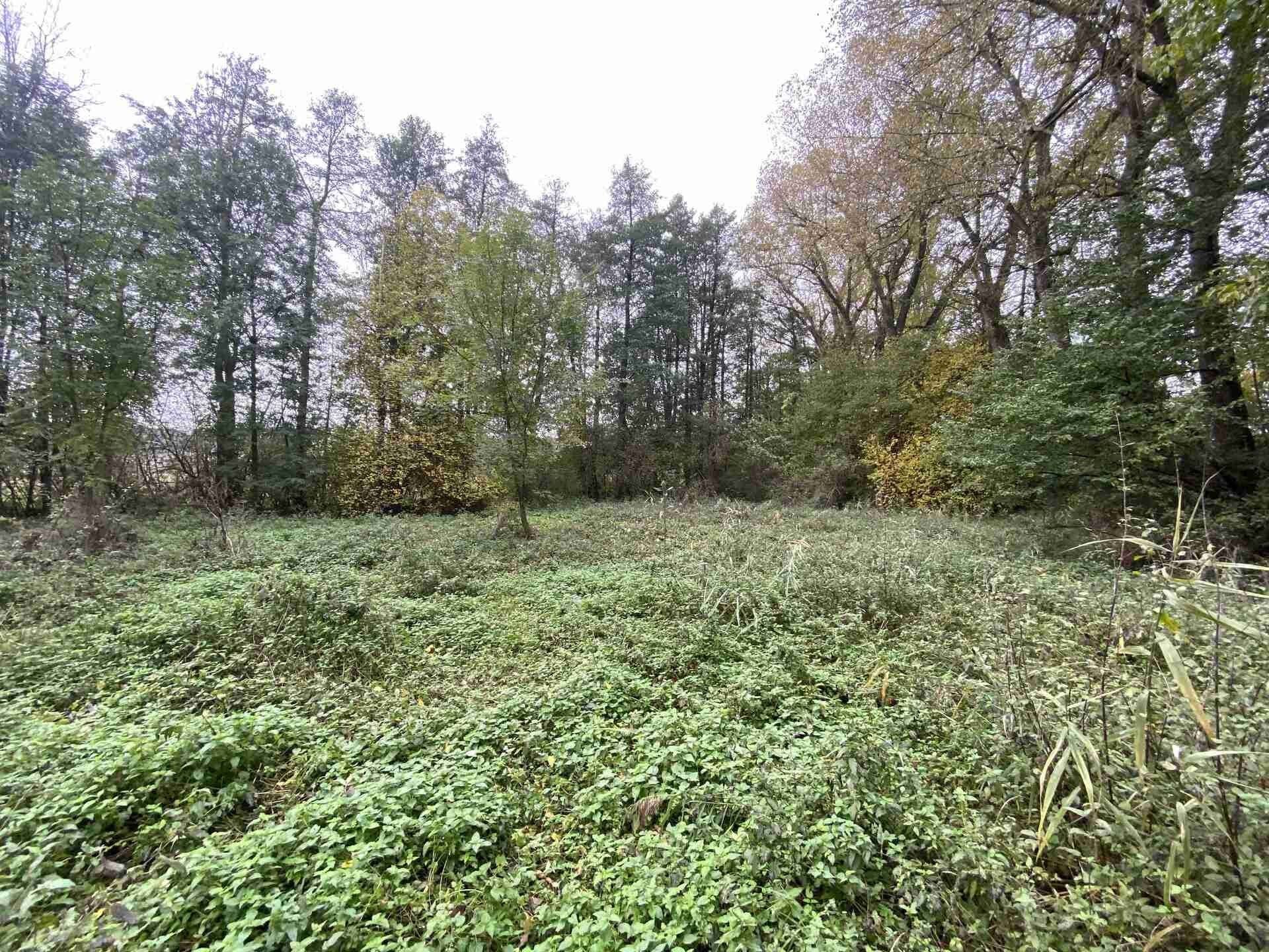 Prodej pozemek - Čáslavice, 1 m²