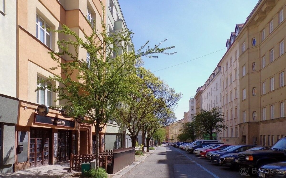 Byty, Brno, 602 00 - 1