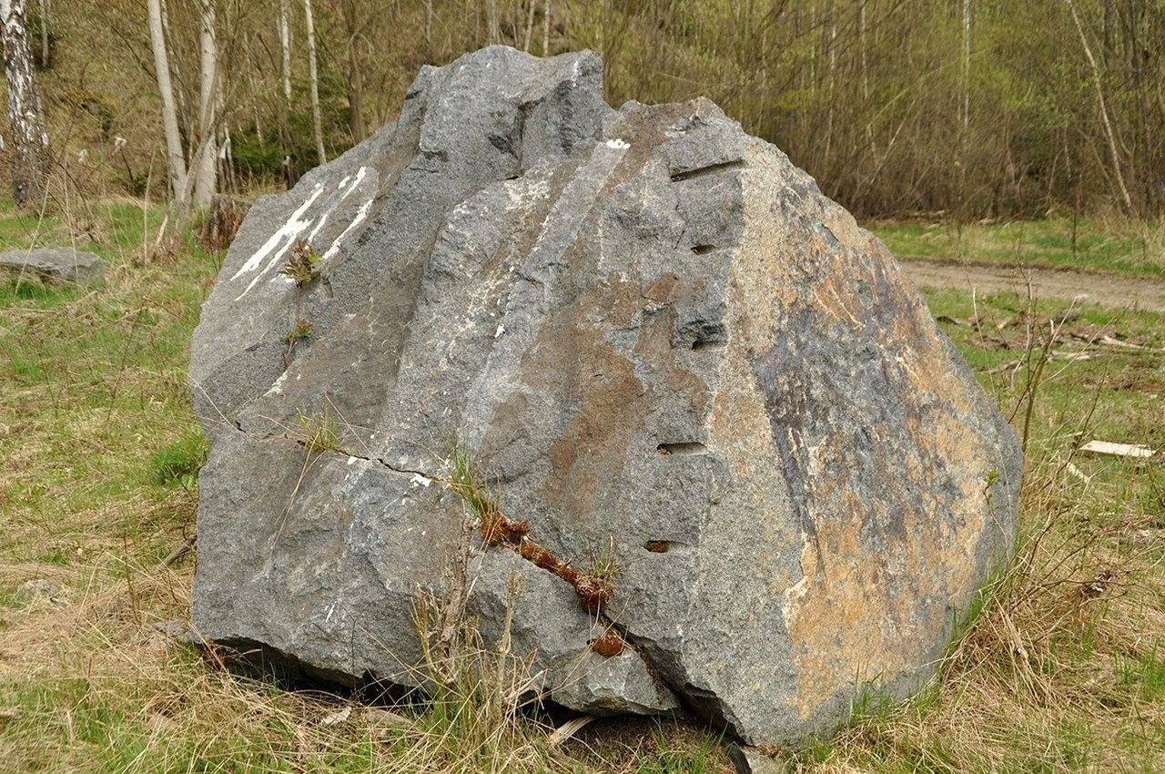 Ostatní, Chodová Planá, 19 816 m² - 1