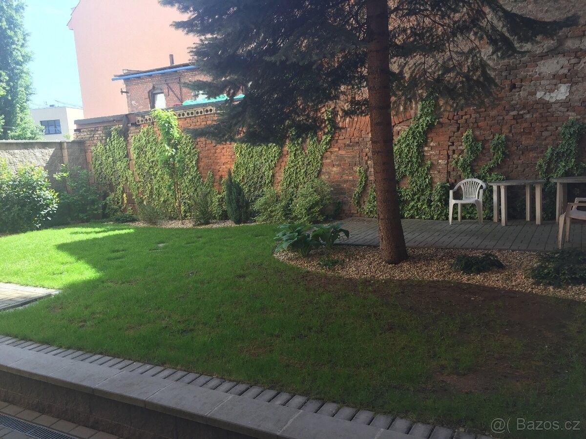 Pronájem byt - Brno, 602 00