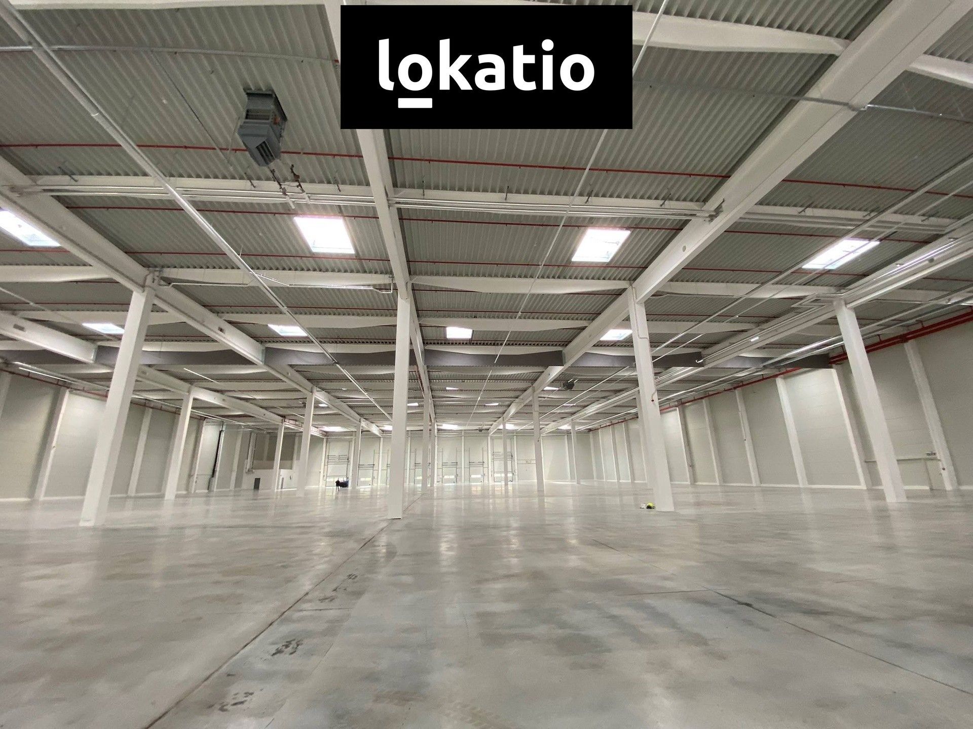 Pronájem sklad - Hněvotínská, Olomouc, 3 700 m² - 5