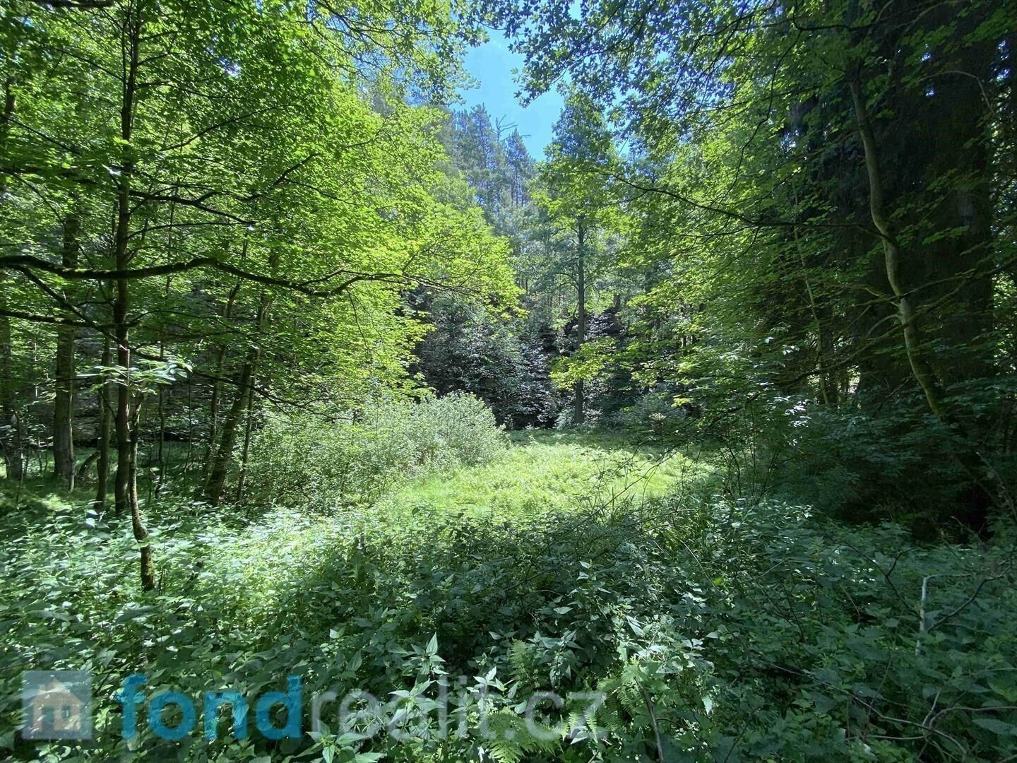 Prodej pozemek - Chřibská, 19 m²