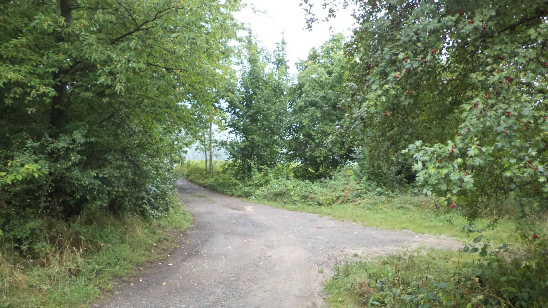 Prodej pozemek pro bydlení - Skuteč, 687 m² - 5