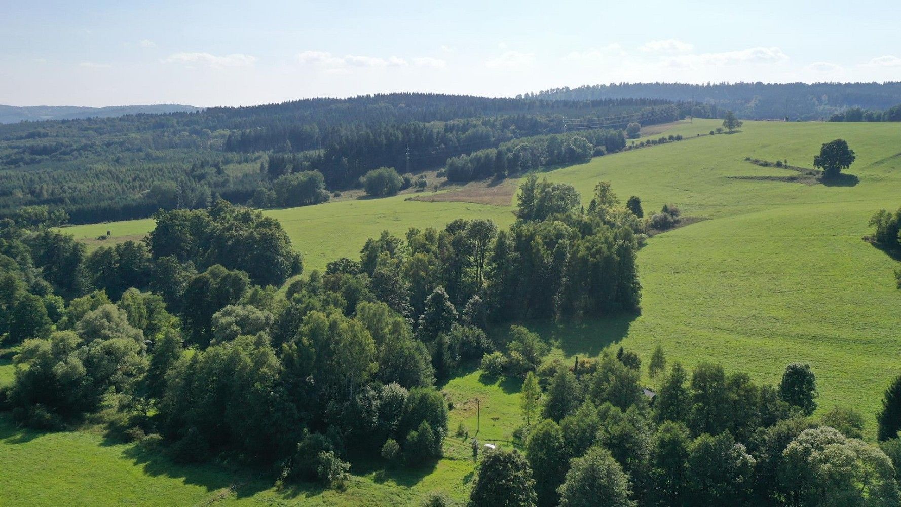 Louka · Bernartice, okres Trutnov, Královéhradecký kraj - 4