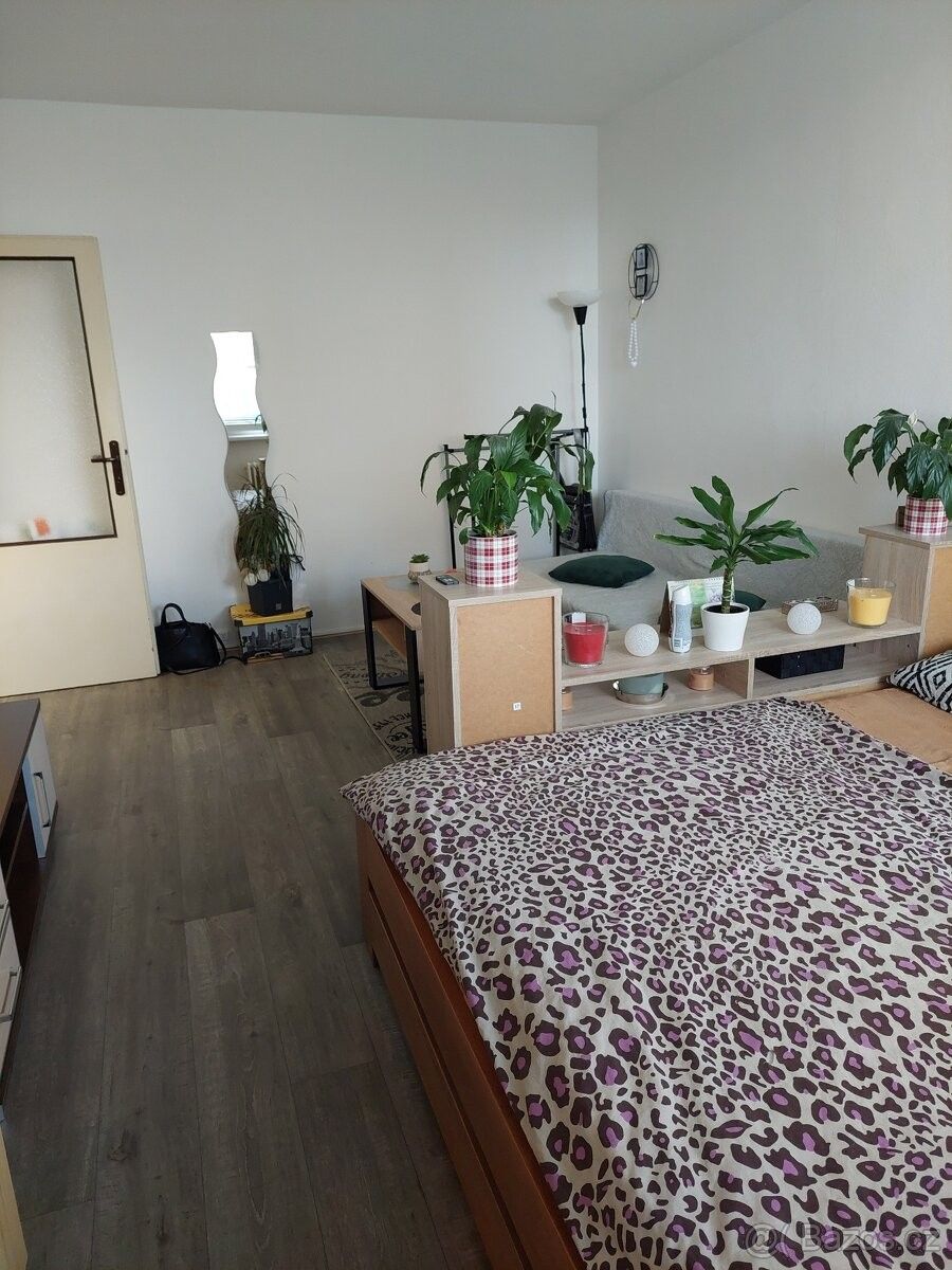 Pronájem byt - Opava, 747 05