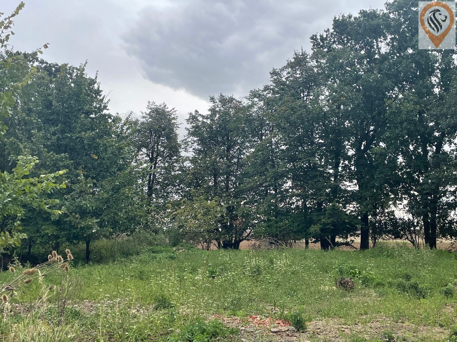 Zemědělské pozemky, Úhonice, 51 051 m² - 1