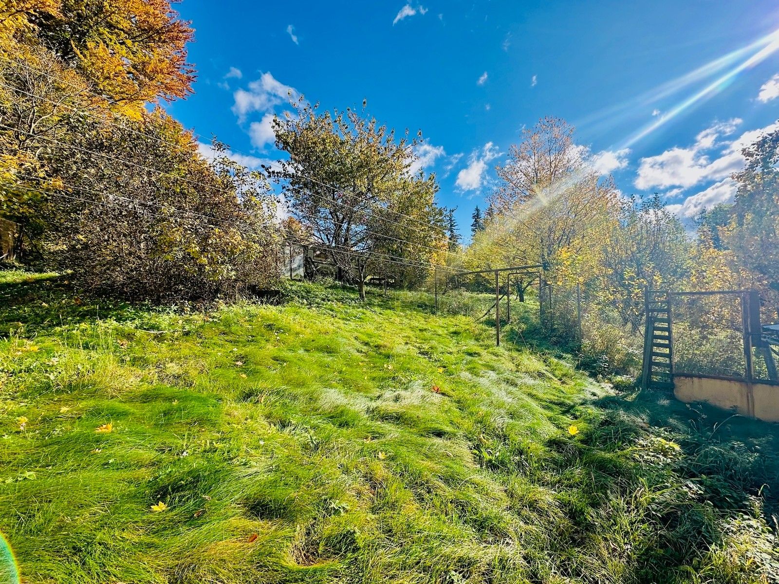 Prodej louka - Vápenná, 37 m²