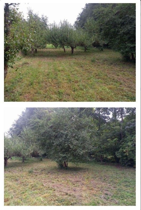 Prodej pozemek pro bydlení - Budislav u Litomyšle, 569 65