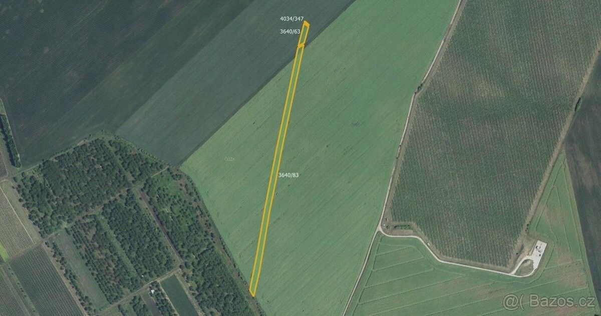 Pozemky pro bydlení, Čejkovice, 696 15