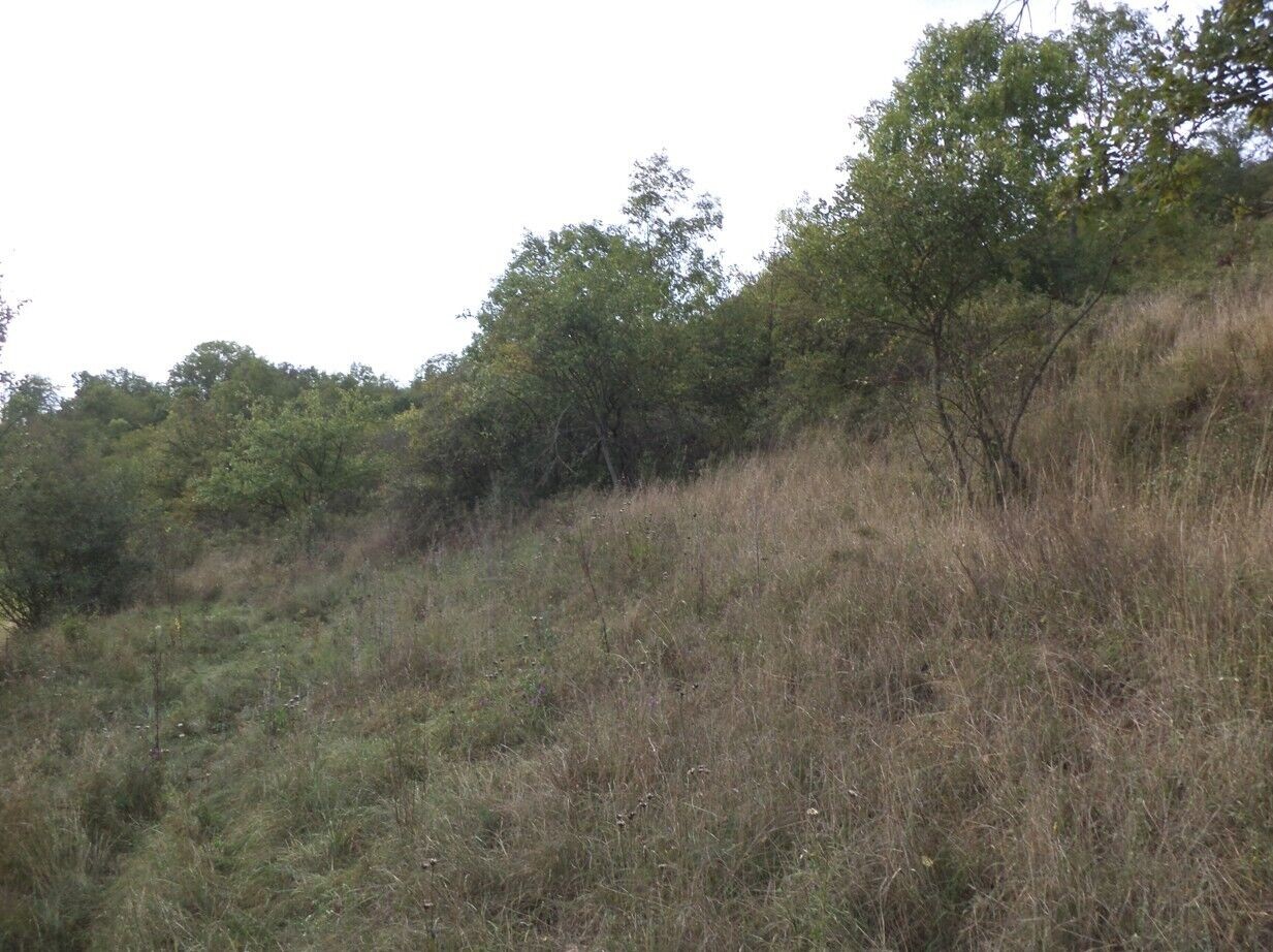 Zemědělský pozemek · 22 441 m² · Řehlovice Stadice - 3