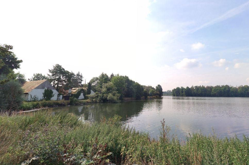 Prodej louka - Tchořovice, 10 887 m²