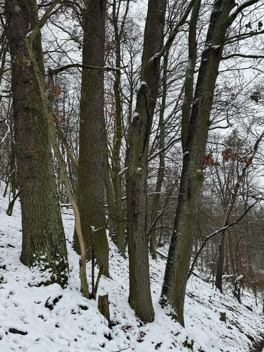 Pozemky pro bydlení, Vysoká u Mělníka, 277 24