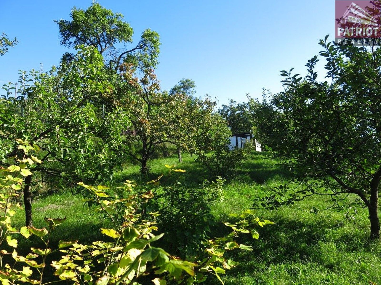Zahrady, Šlikova, Samotišky, 548 m²