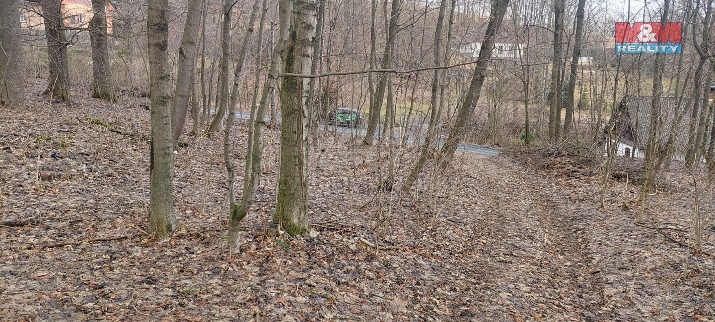 Pozemek · Budišov nad Budišovkou - Podlesí, okres Opava, Moravskoslezský kraj - 3