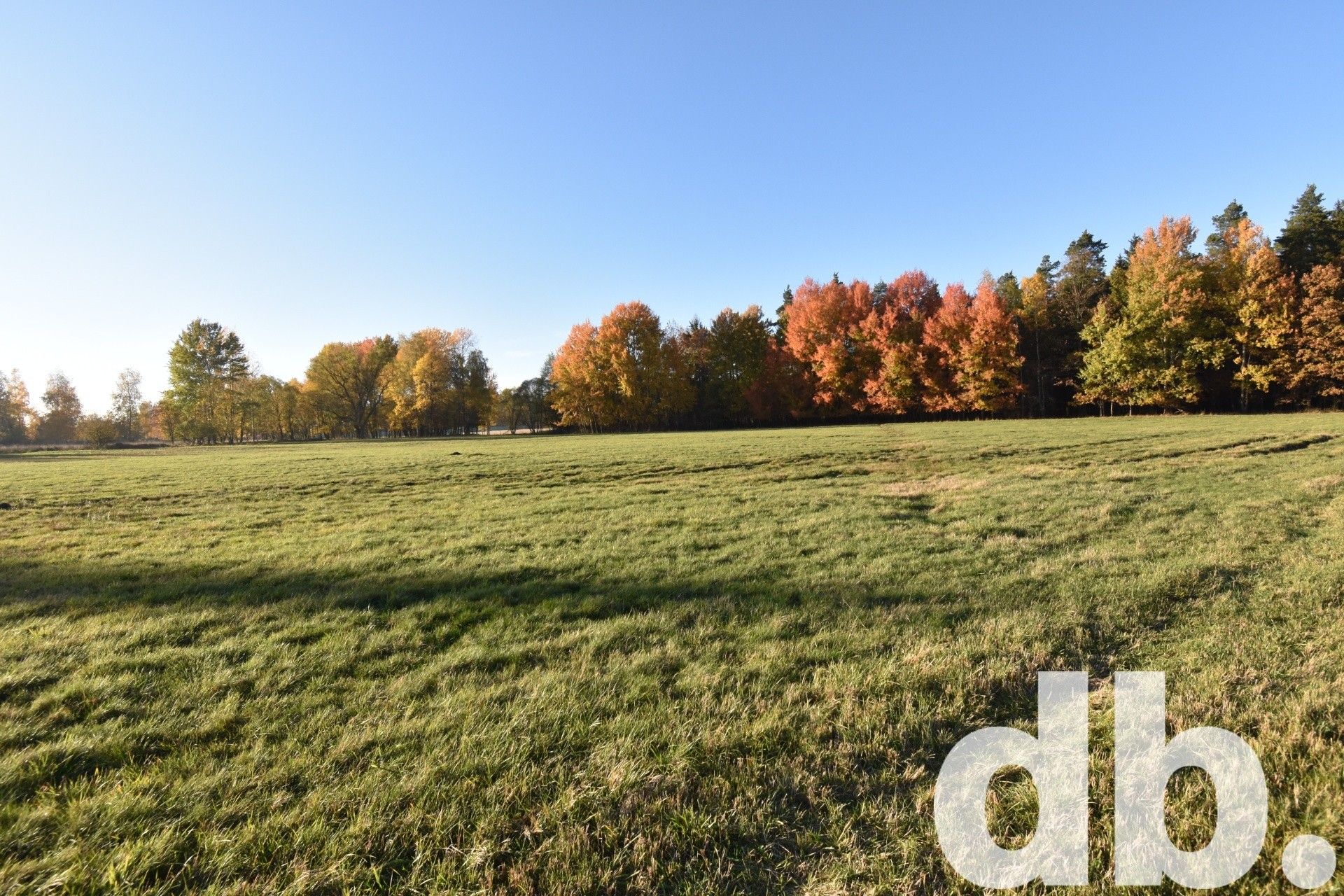 Prodej pozemek pro bydlení - Mezirolí, Nová Role