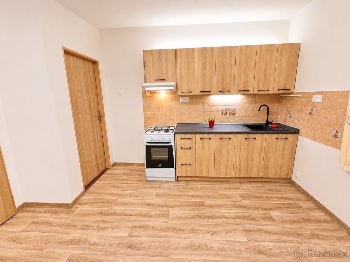 Byt 1+1, 42 m²