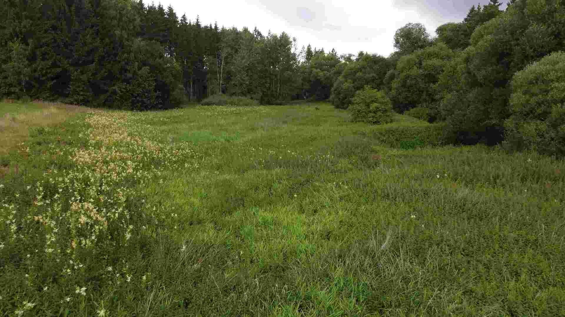 Zemědělské pozemky, Dobronice u a, Chýnov, 22 m²