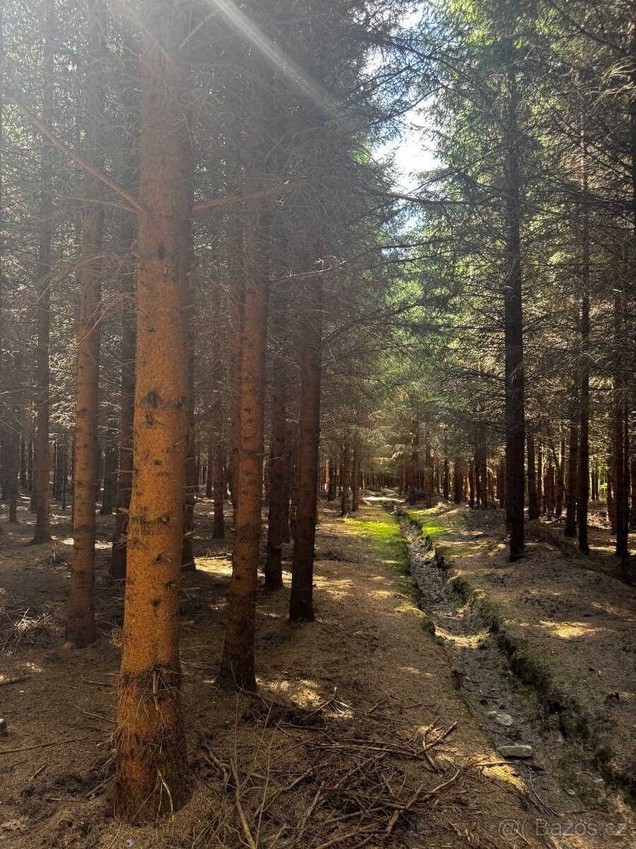 Prodej pozemek pro bydlení - Český Krumlov, 381 01