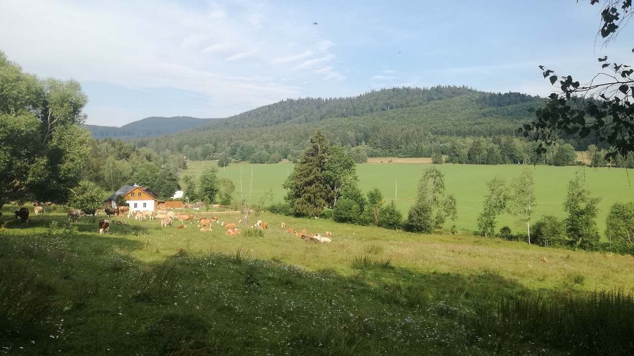 Chaty, Lenora, Jihočeský kraj - 2