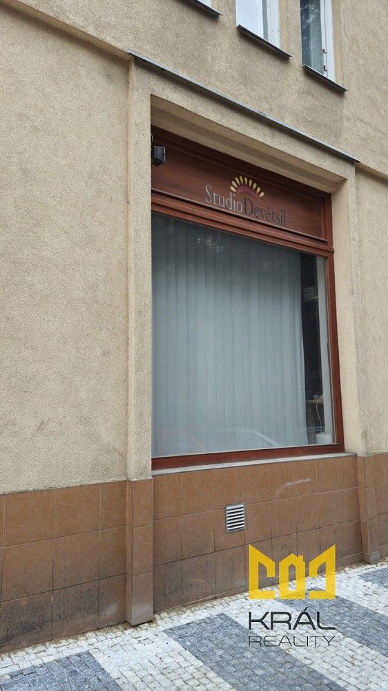 Obchodní prostory, Praha - Žižkov, okres Praha 3, Hlavní město Praha, 9 m² - 2