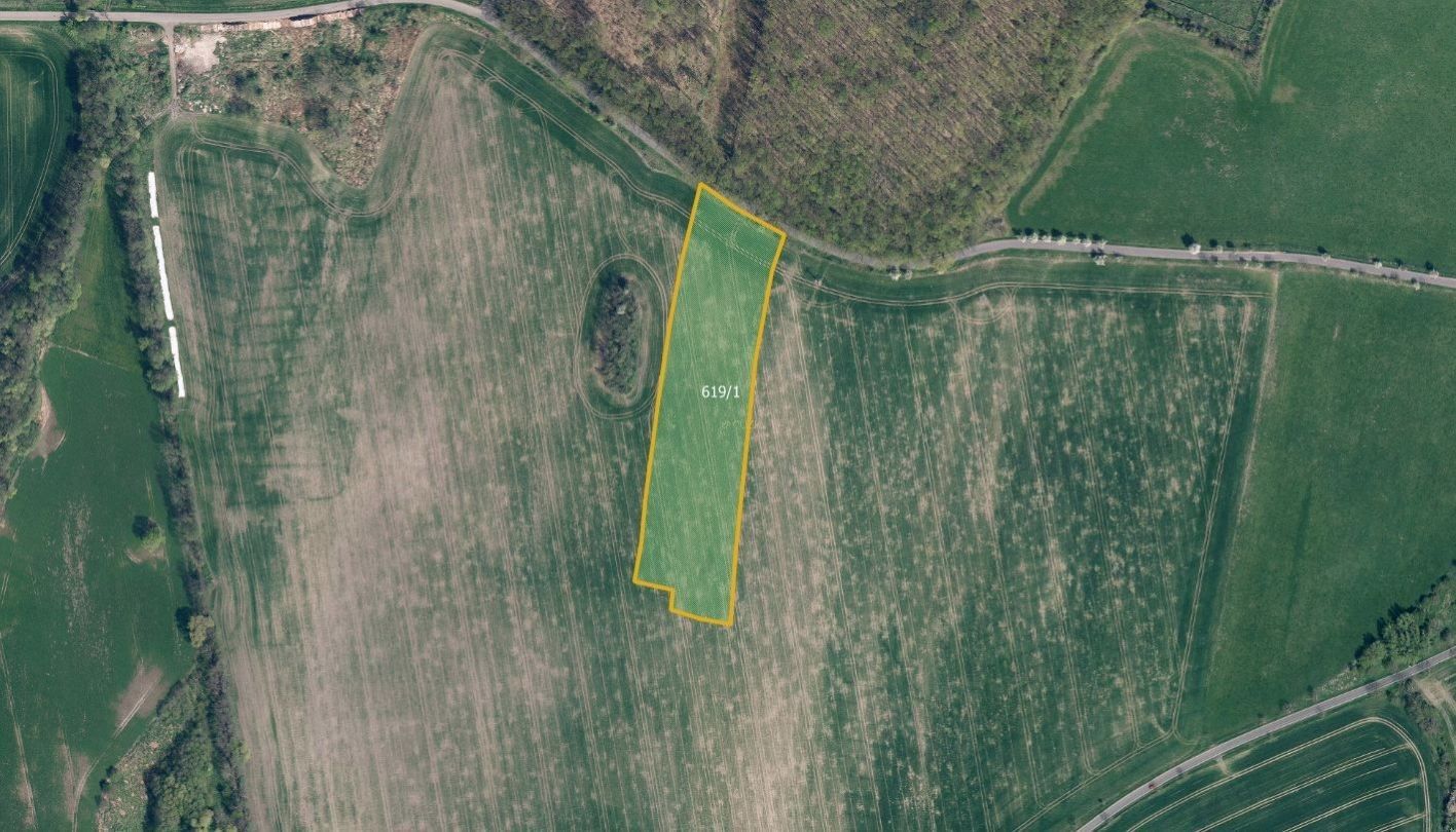 Prodej zemědělský pozemek - Třebušín