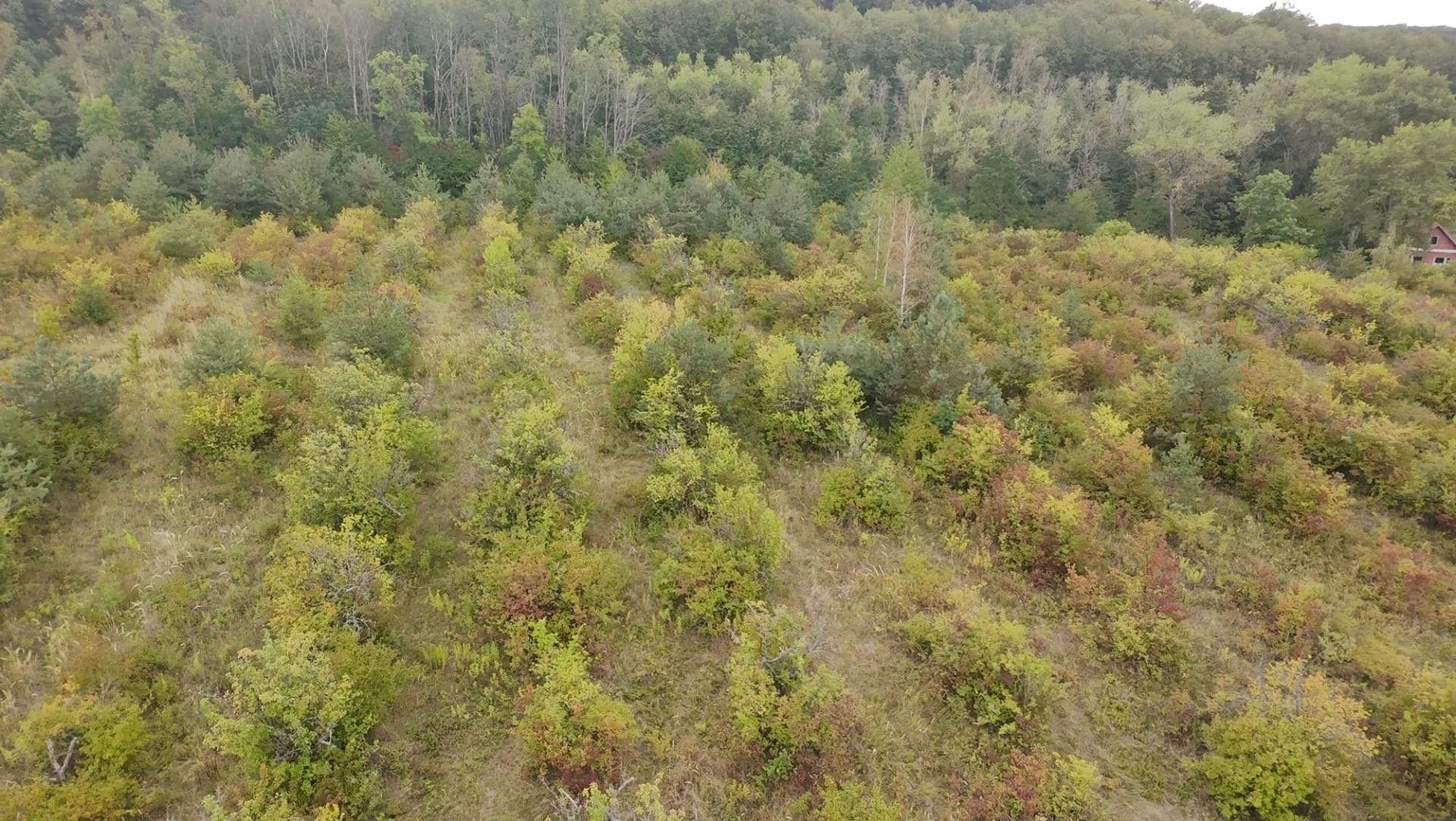 Pozemek · 42 877 m² · Bechlín - 4