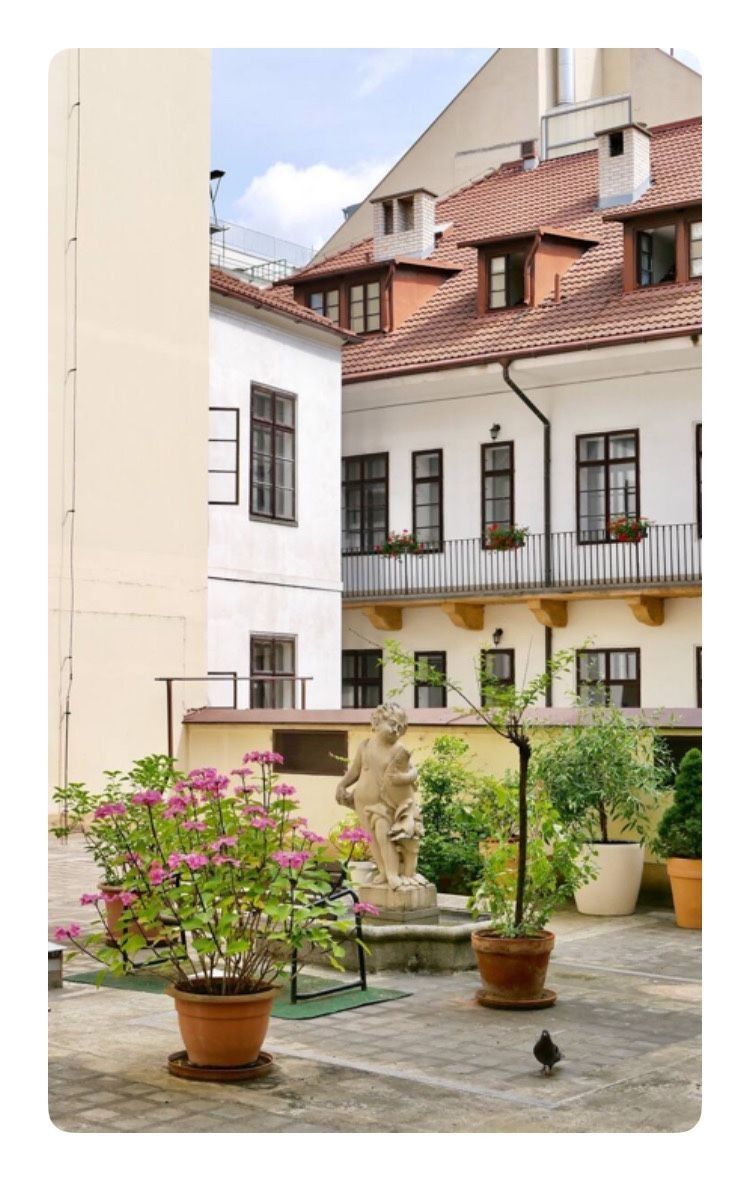 1+kk, Konviktská, Praha - Staré Město, 33 m² - 1