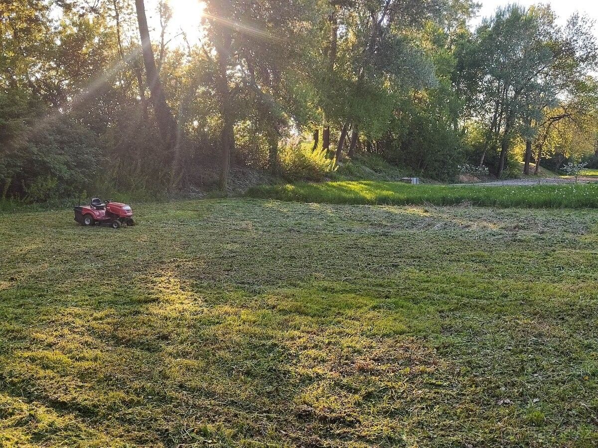 Pronájem zahrada - Býchory, 280 02