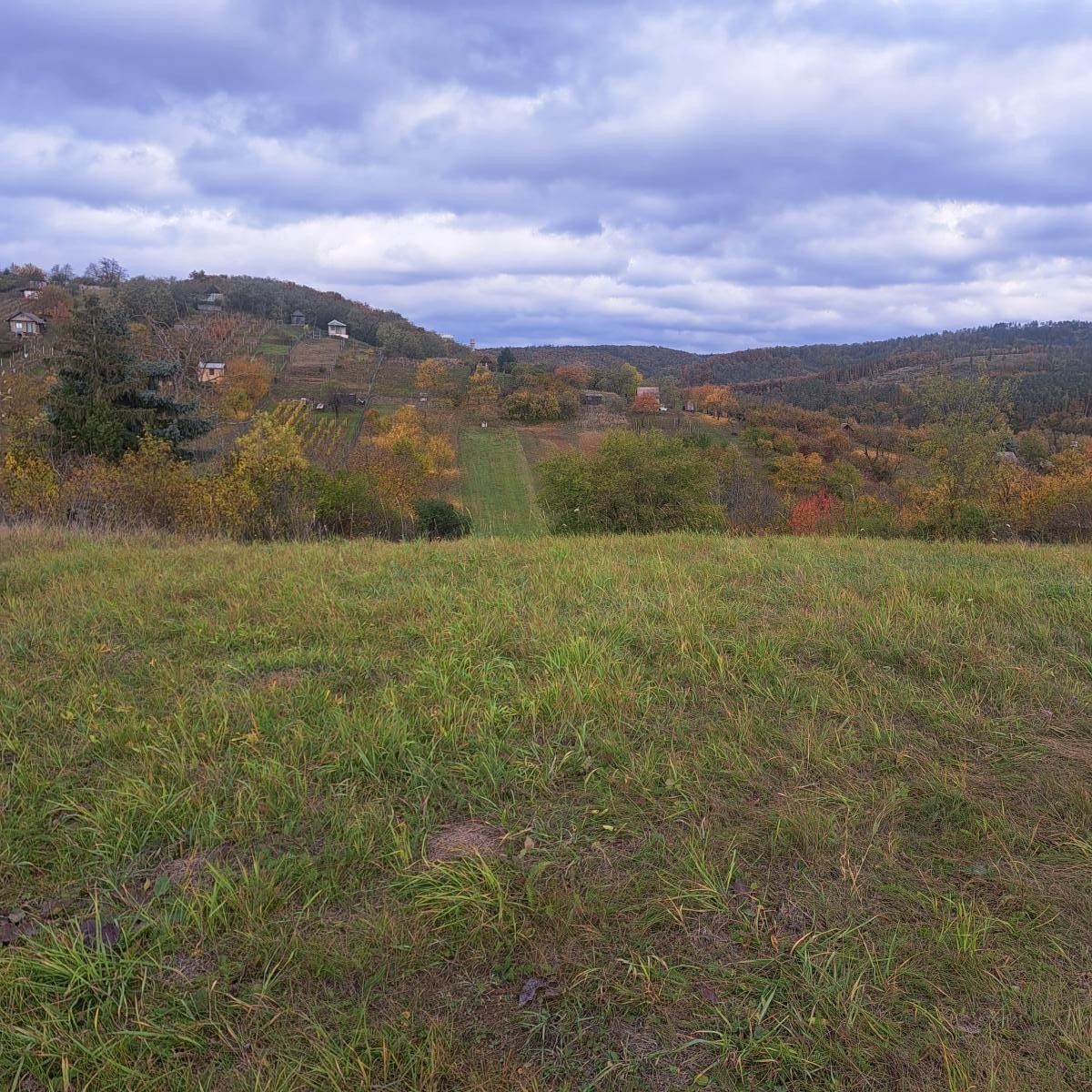 Zahrady, Sivice, 1 458 m²