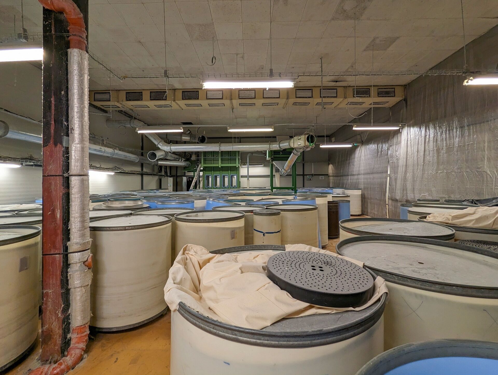 Pronájem sklad - Plavy, 570 m²