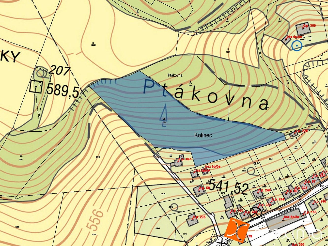 Les · Kolinec, okres Klatovy, Plzeňský kraj - 3