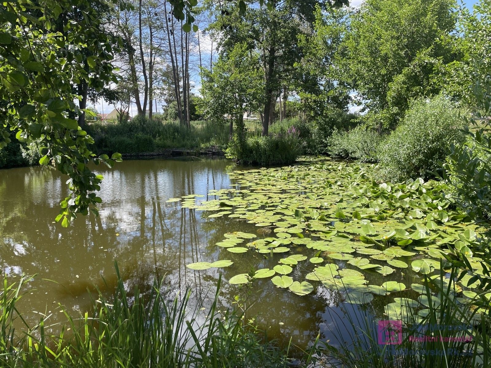 Pozemek pro bydlení · 4 463 m² · Poštorná, Břeclav - 4
